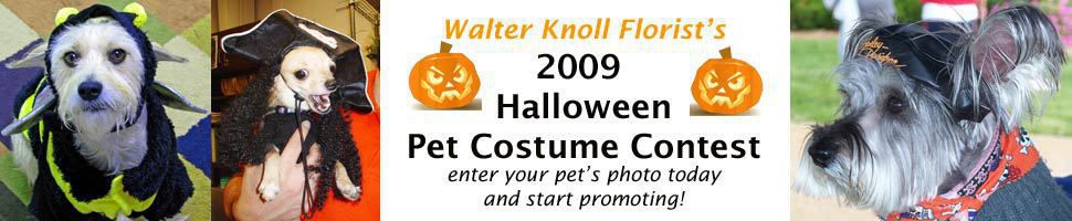 Halloween09