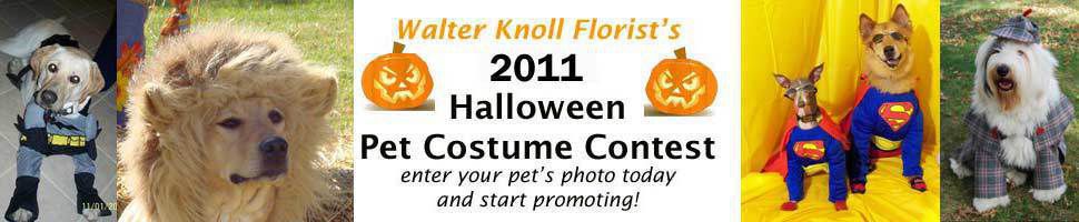 Pet Costumes 2011