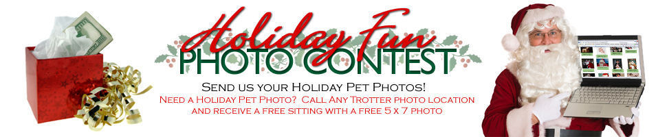 Holiday Pet Photo Contest