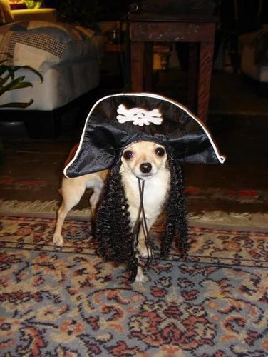 Halloween 2010
