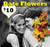 Date Flowers From Walter Knoll Florist