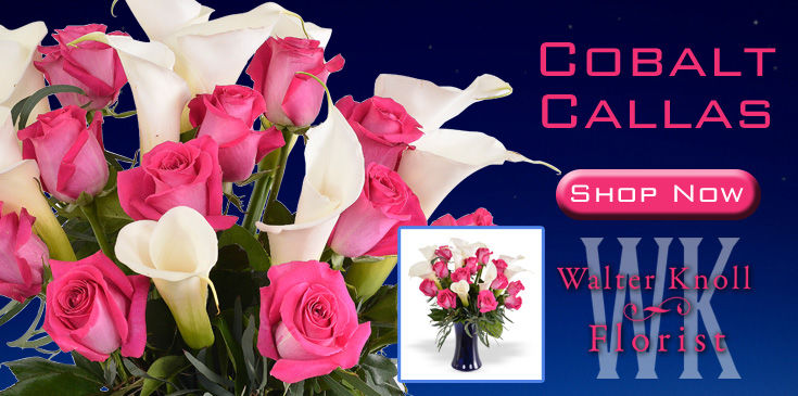 Summer Cobalt Calla - 