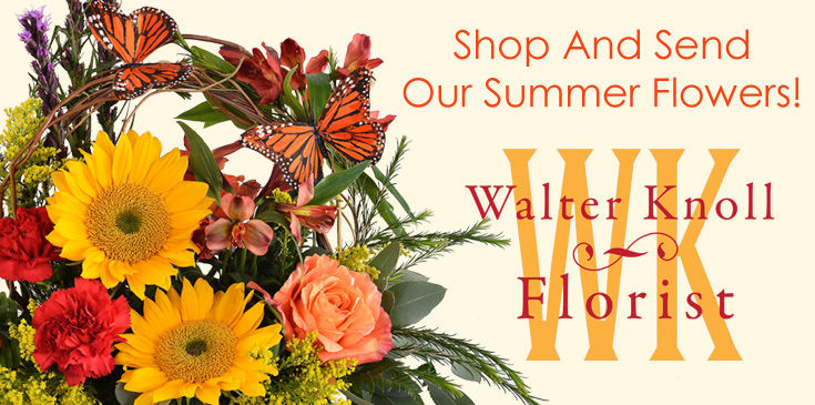 Summer Sunflowers - 