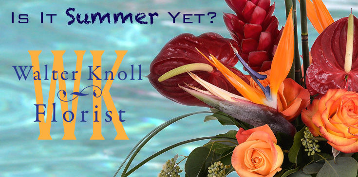 Summer Tropical - 