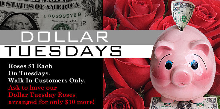 DollarTuesday5 - 