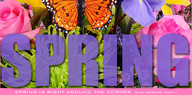 Spring - 