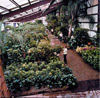 Arnold Greenhouse