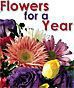 Flowers for a Year