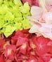Hydrangea Bouquets
