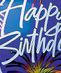 Birthday