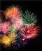 Independence Day