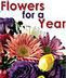 Flowers for a Year