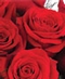 Valentine's Day