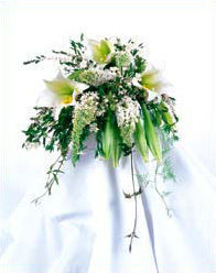 Weddings at Walter Knoll Florist