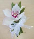 Cymbidium Corsage