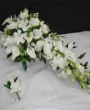 Calla Lilly and Orchid Cascade