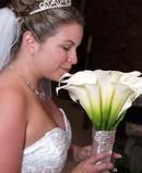 All White Callas