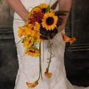 Beaming Sunflowers