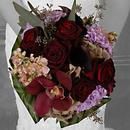 Bewitched Roses