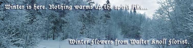 Walter Knoll Florist