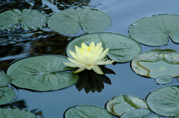 DSC_6802web