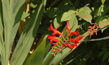 DSC_6806web