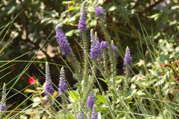 DSC_6812web
