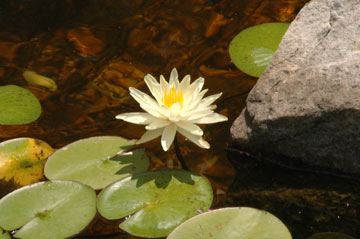 DSC_6815web