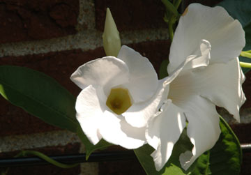 DSC_6829web