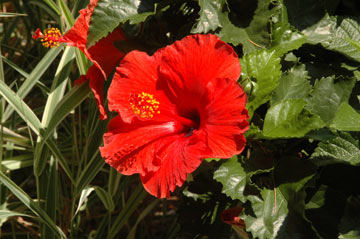 DSC_6833web