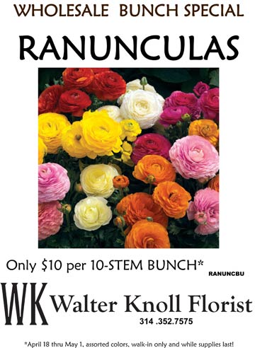 Ranunculas4-18-11