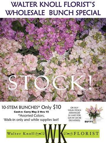 Pick up your Stock