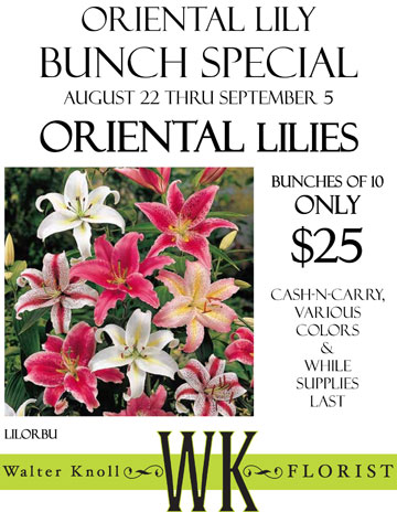 orientalLilyAug2011110819115929