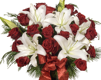 Christmas Flowers