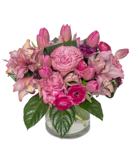 Pink Passion