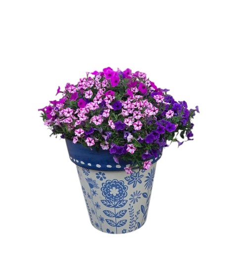 Blossom Breeze Planter