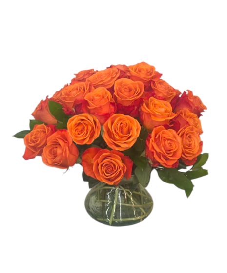 Sunset Rose Special