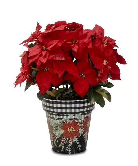 Jumbo Poinsettia Pot