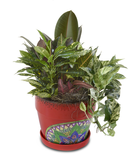 FIESTA PLANTER