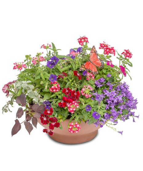 Patio Breeze Planter