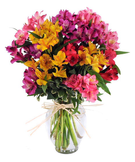 Alstroemeria Kaleidoscope Bouquet