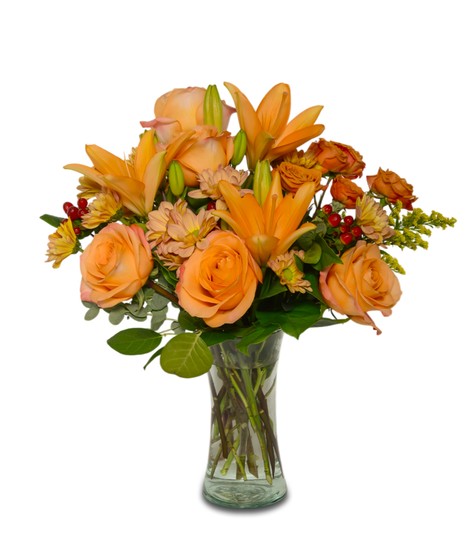 Orange Clove