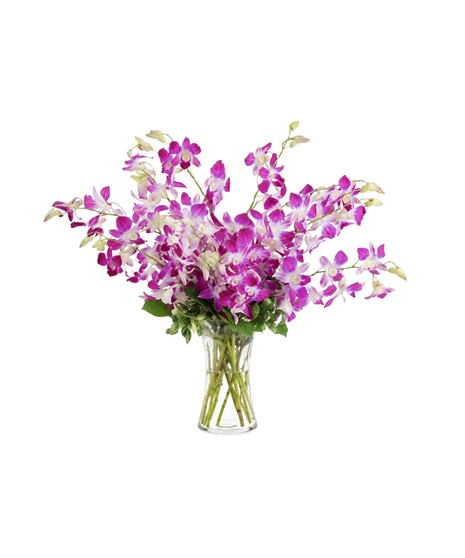 Dramatic Dendrobiums Bouquet