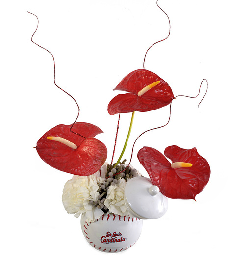 Cardinals Sugar Bowl