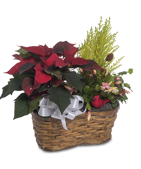 Season's Greetings Basket