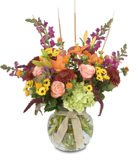 St. Louis Flower Delivery  Walter Knoll Florist St. Louis MO