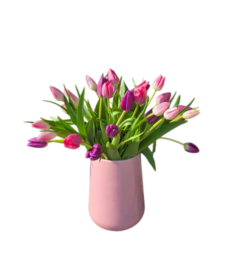 Tulip Twirl
