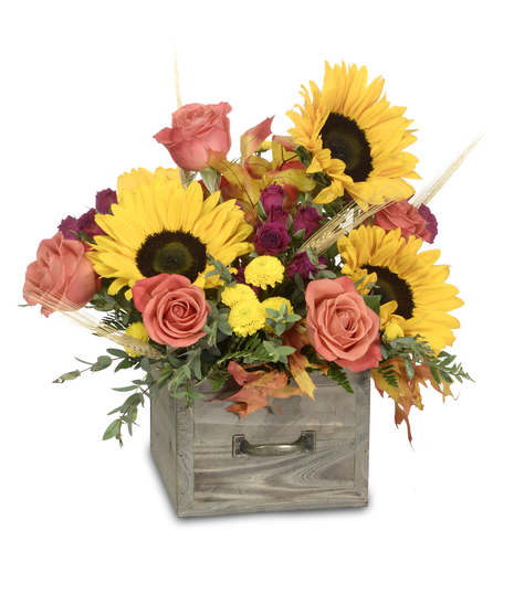 VIVID FALL BOX