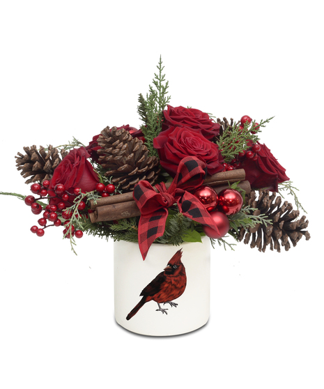 Crimson Cardinal