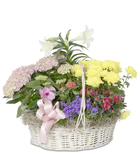 EASTER BASKETS